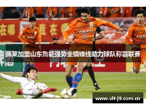 佩莱加盟山东鲁能强势坐镇锋线助力球队称霸联赛
